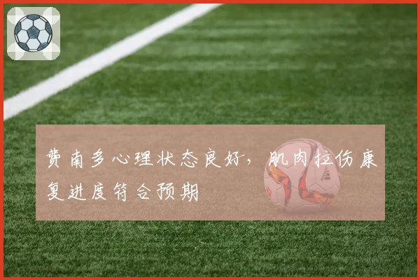费南多心理状态良好，肌肉拉伤康复进度符合预期
